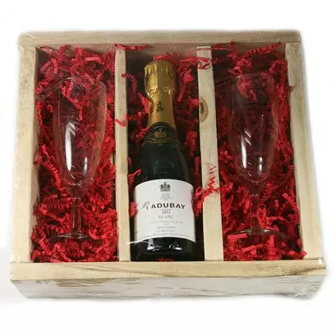 blijven Menagerry alliantie Mini champagnepakket met 2 champagneglazen