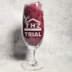 Kristallen bierglas graveren met logo van thz trial