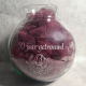 Planten terrarium met planten