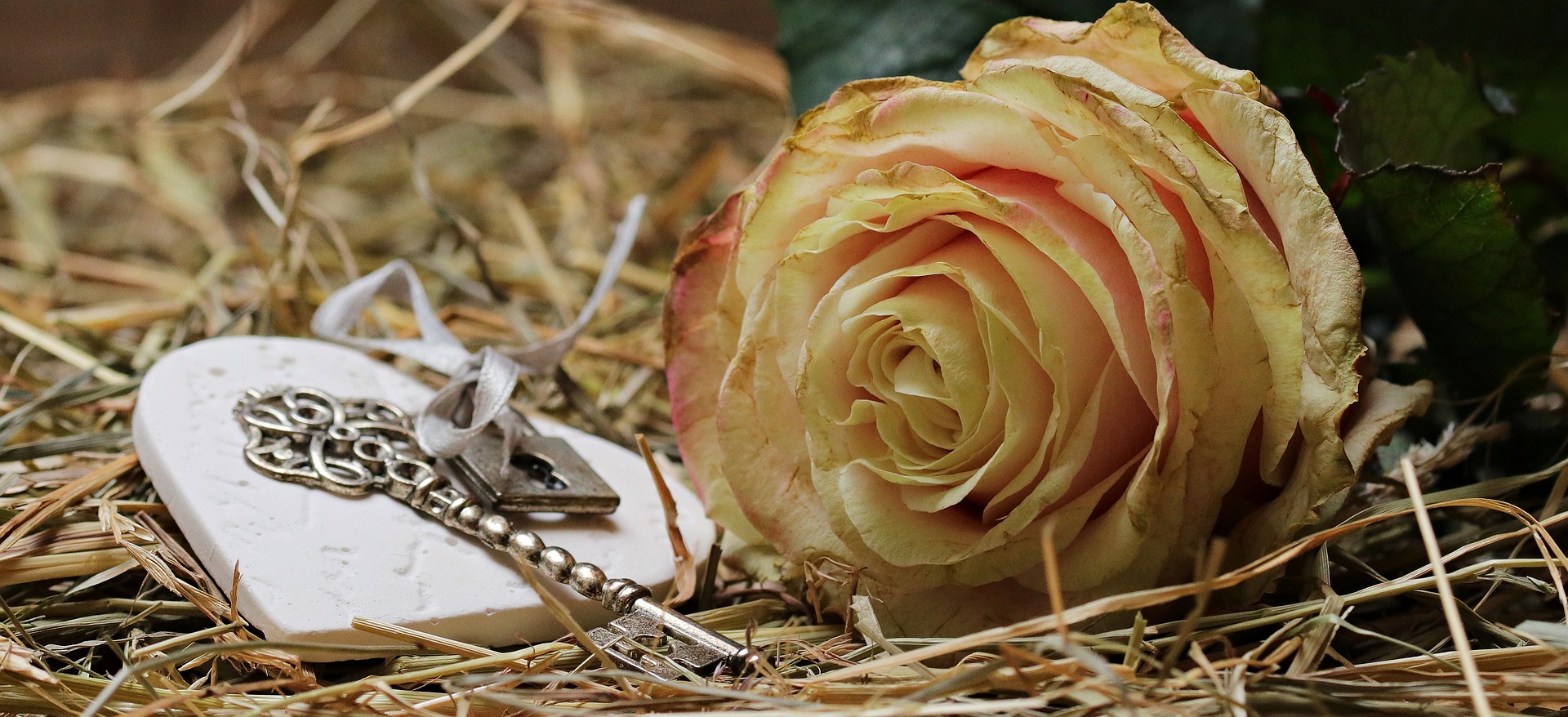 Valentijnsdag - Unieke gedichten en alles over valentijncadeaus