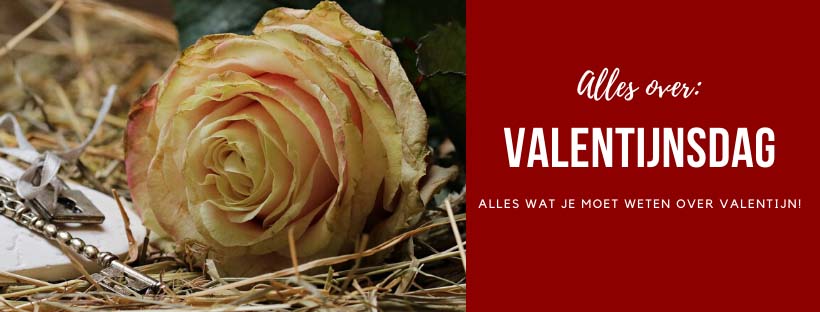 Valentijnsdag - Unieke gedichten en alles over valentijncadeaus